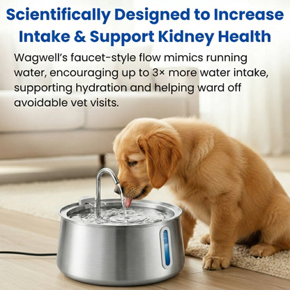 Wagwells - Dog water fountain