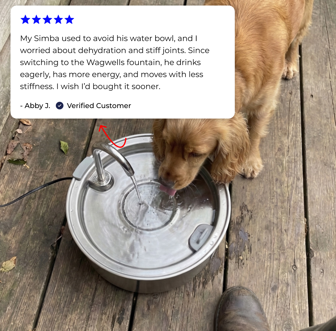 Wagwells - Dog water fountain