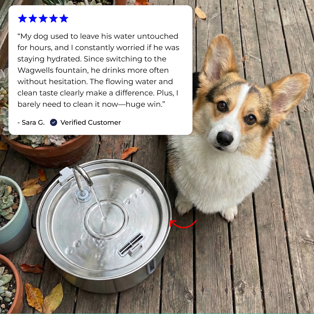 Wagwells - Dog water fountain
