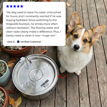 Wagwells - Dog water fountain