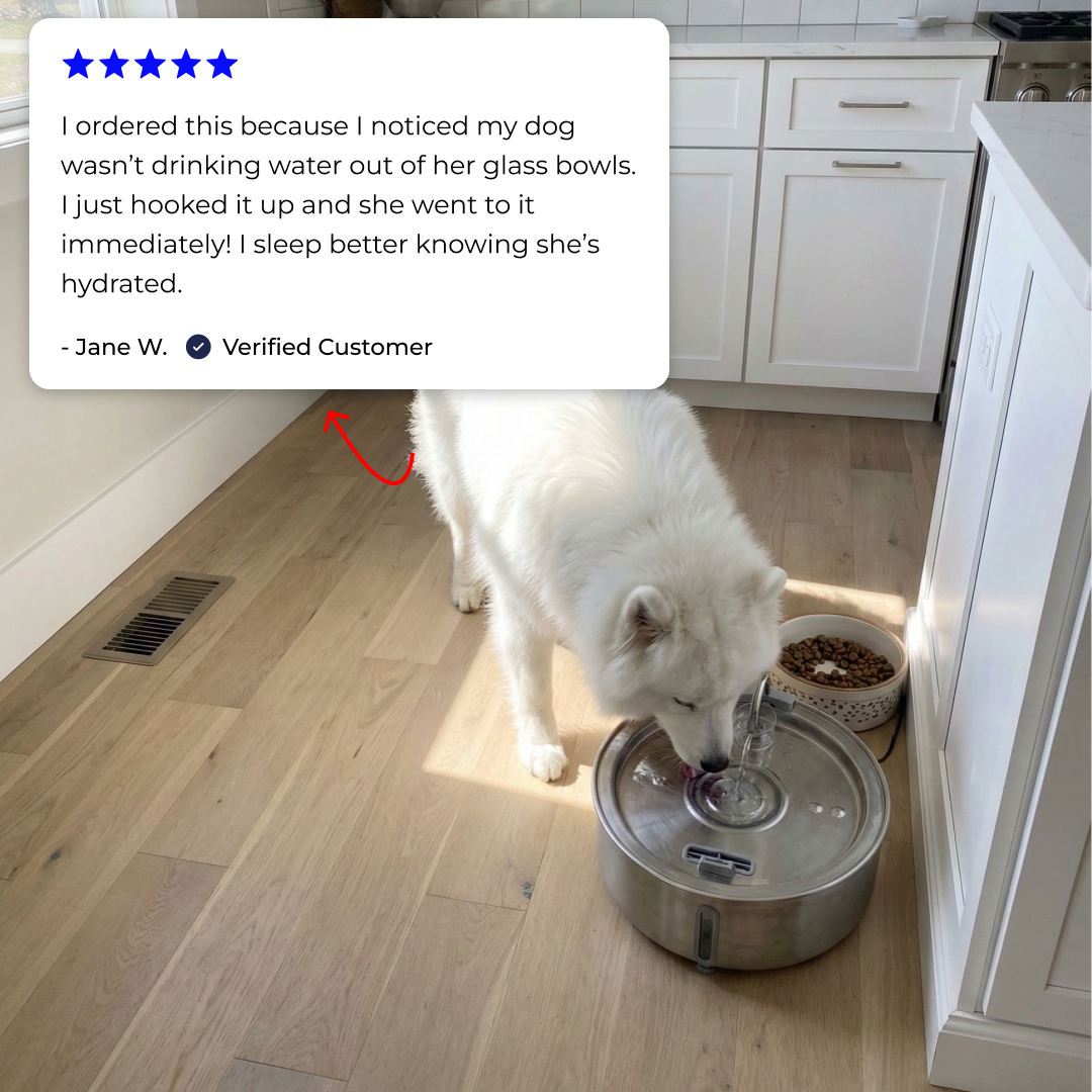 Wagwells - Dog water fountain