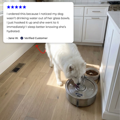 Wagwells - Dog water fountain